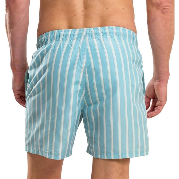 RIPT Essentials Mens Stripe Swim Shorts