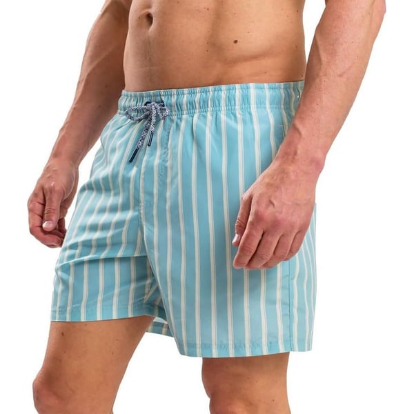 RIPT Essentials Mens Stripe Swim Shorts