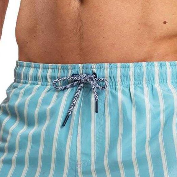 RIPT Essentials Mens Stripe Swim Shorts
