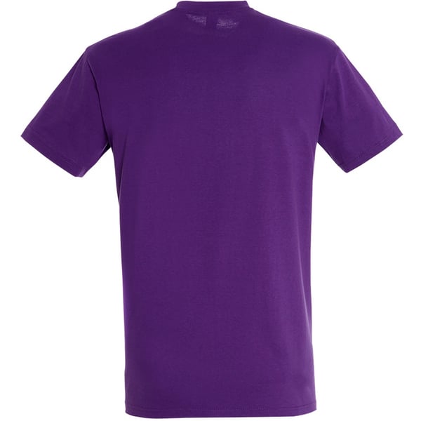 SOLS Mens Regent Short Sleeve T-Shirt
