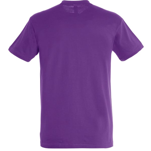 SOLS Mens Regent Short Sleeve T-Shirt