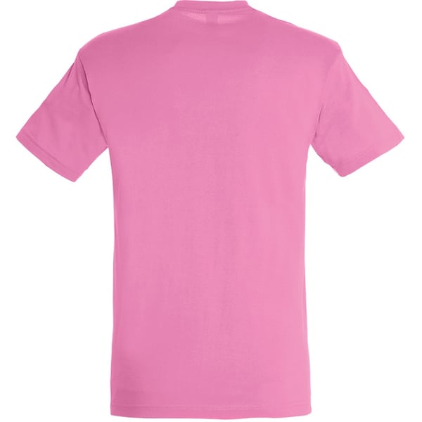 SOLS Mens Regent Short Sleeve T-Shirt