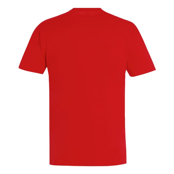 SOLS Mens Imperial Heavyweight Short Sleeve T-Shirt
