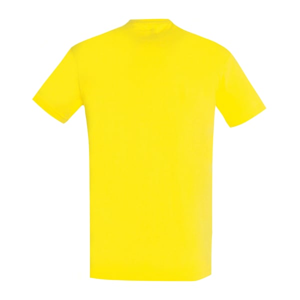 SOLS Mens Imperial Heavyweight Short Sleeve T-Shirt