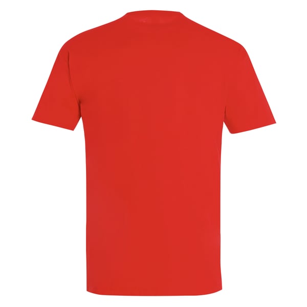 SOLS Mens Imperial Heavyweight Short Sleeve T-Shirt