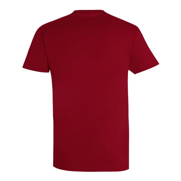 SOLS Mens Imperial Heavyweight Short Sleeve T-Shirt