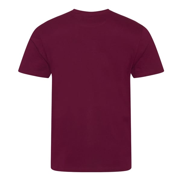 Ecologie Mens Organic Cascades T-Shirt