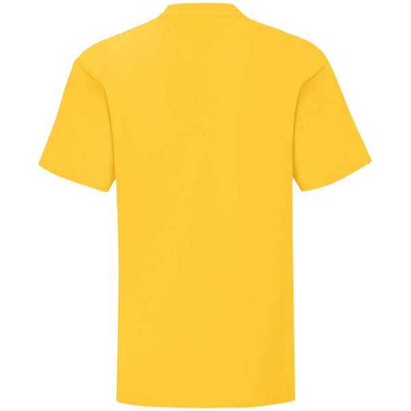 Fruit Of The Loom Lasten Iconic T-paita