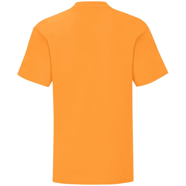 Fruit Of The Loom Lasten Iconic T-paita