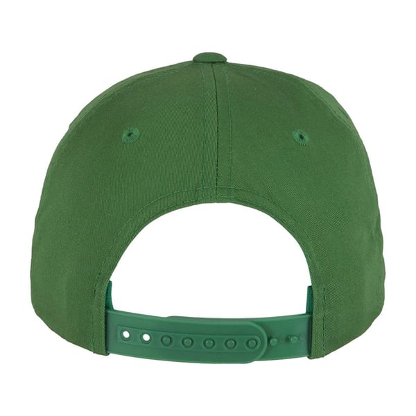 Flexfit Unisex kaareva klassinen snapback-lippis