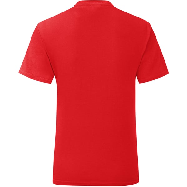 Fruit Of The Loom Mens Iconic T-Shirt (Pack Of 5)