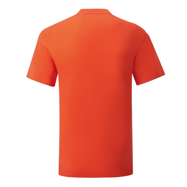 Fruit Of The Loom Mens Iconic T-Shirt (Pack Of 5)