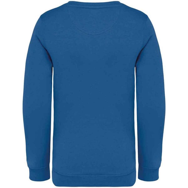 Native Spirit Childrens/Kids Sweatshirt