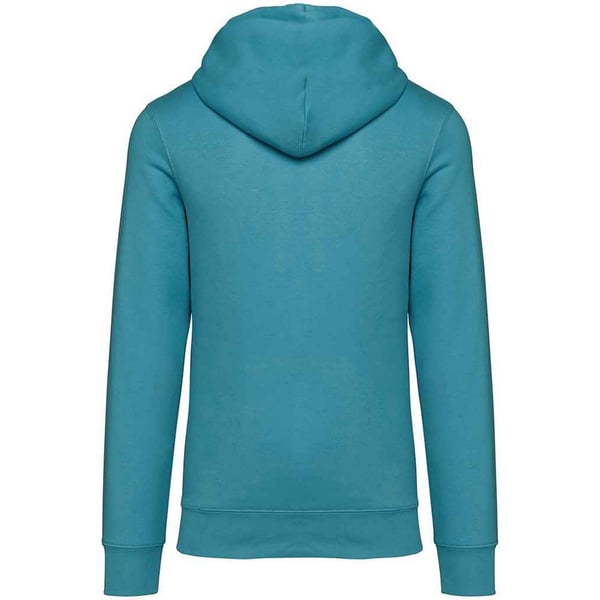 Native Spirit Unisex Adult Heavyweight Hoodie