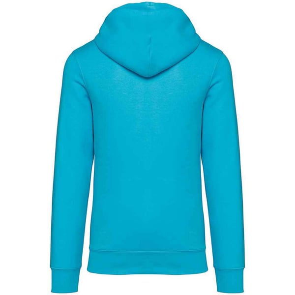 Native Spirit Unisex Adult Heavyweight Hoodie