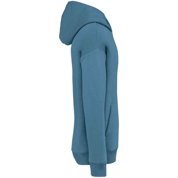 Native Spirit Unisex voksen oversized hættetrøje