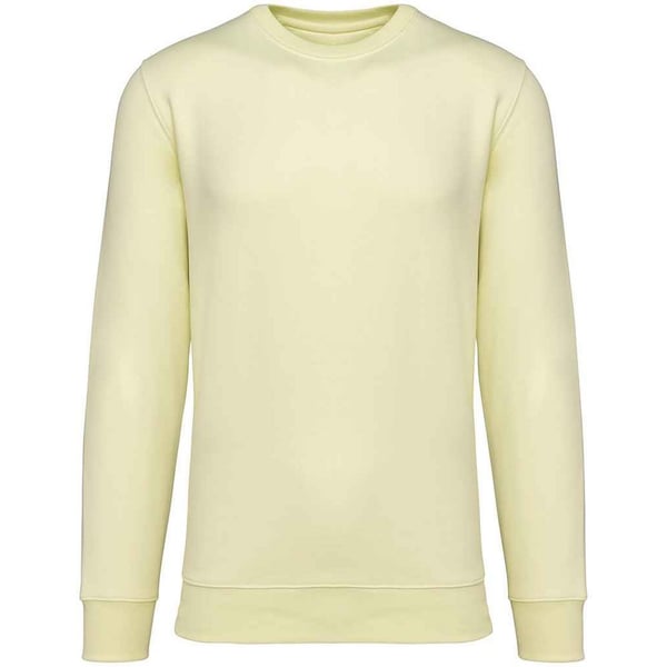 Native Spirit Unisex Adult Crew Neck Sweatshirt