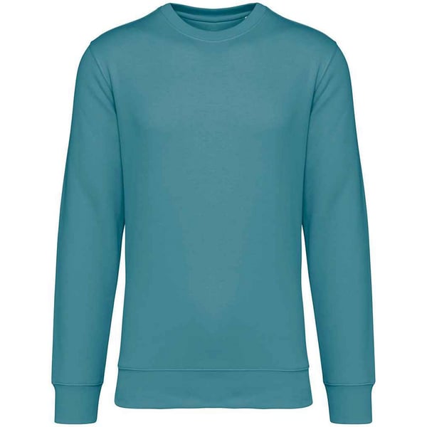 Native Spirit Unisex Adult Crew Neck Sweatshirt