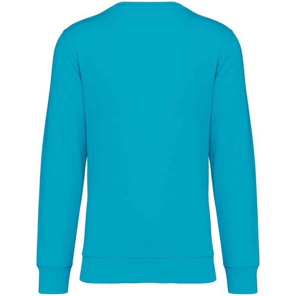 Native Spirit Unisex Adult Crew Neck Sweatshirt