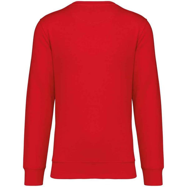 Native Spirit Unisex Adult Crew Neck Sweatshirt