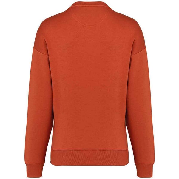 Native Spirit Womens/Ladies Oversized Sweatshirt