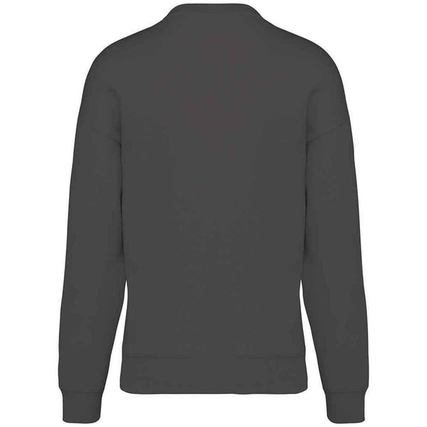 Native Spirit Womens/Ladies Oversized Sweatshirt