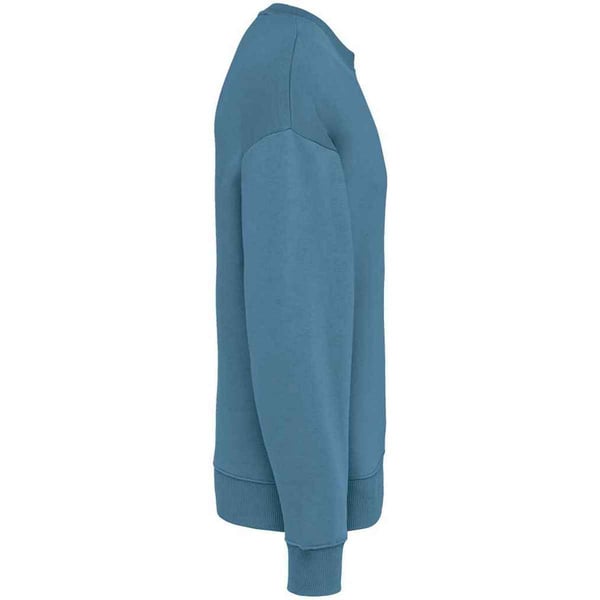 Native Spirit Womens/Ladies Oversized Sweatshirt