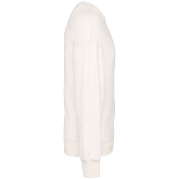 Native Spirit Womens/Ladies Oversized Sweatshirt