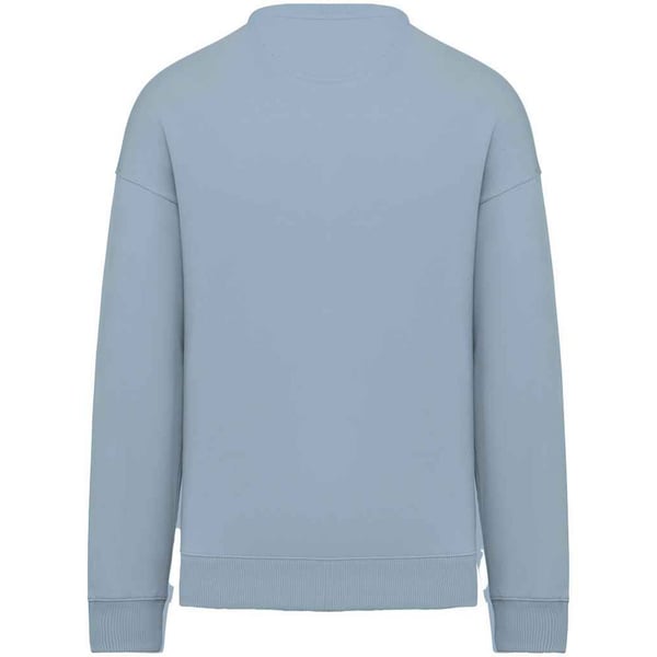Native Spirit Womens/Ladies Oversized Sweatshirt