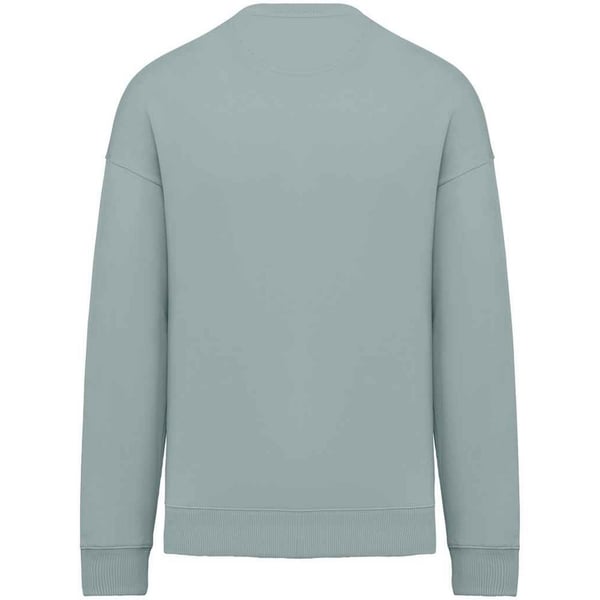 Native Spirit Womens/Ladies Oversized Sweatshirt