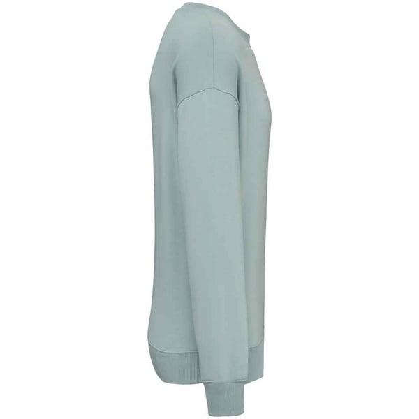 Native Spirit Womens/Ladies Oversized Sweatshirt