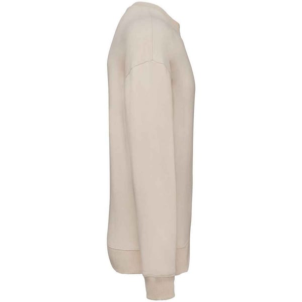 Native Spirit Womens/Ladies Oversized Sweatshirt
