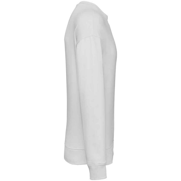 Native Spirit Womens/Ladies Oversized Sweatshirt