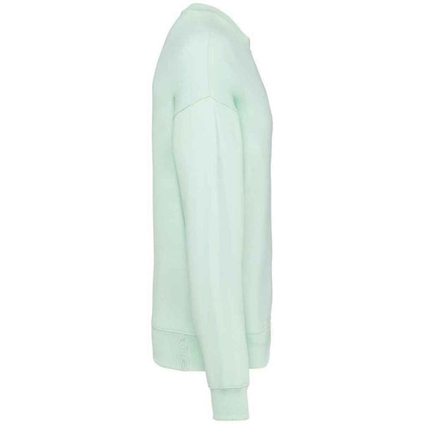 Native Spirit Womens/Ladies Oversized Sweatshirt