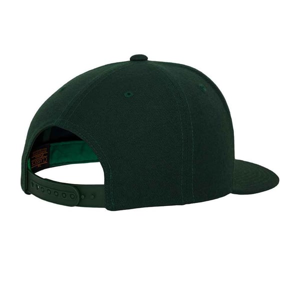 Flexfit Herre Classic Snapback Cap
