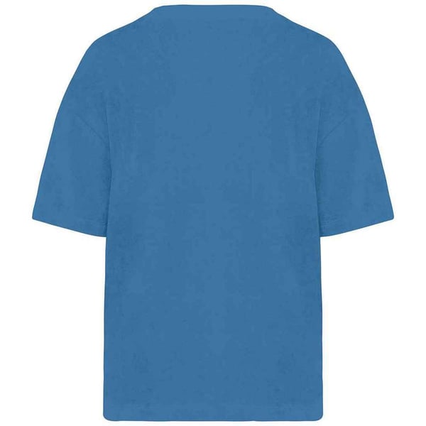 Native Spirit Womens/Ladies Terrycloth T-Shirt