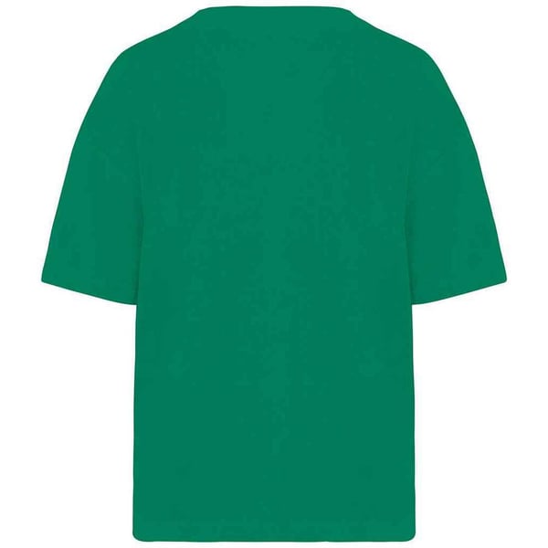Native Spirit Womens/Ladies Terrycloth T-Shirt