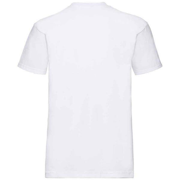Fruit of the Loom Unisex Adult Super Premium Plain T-Shirt
