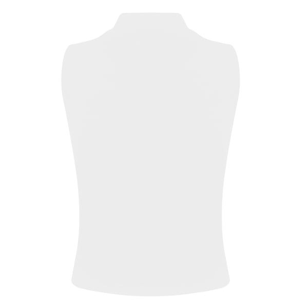 SF Womens/Ladies High-Neck Tank Top