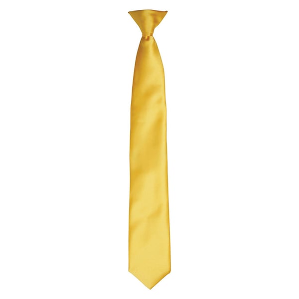 Premier Unisex Adult Satin Tie Premier Unisex Adult Satin Tie