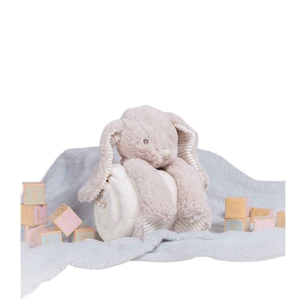 Mumbles Rabbit Plush Toy Set (Pack of 2)