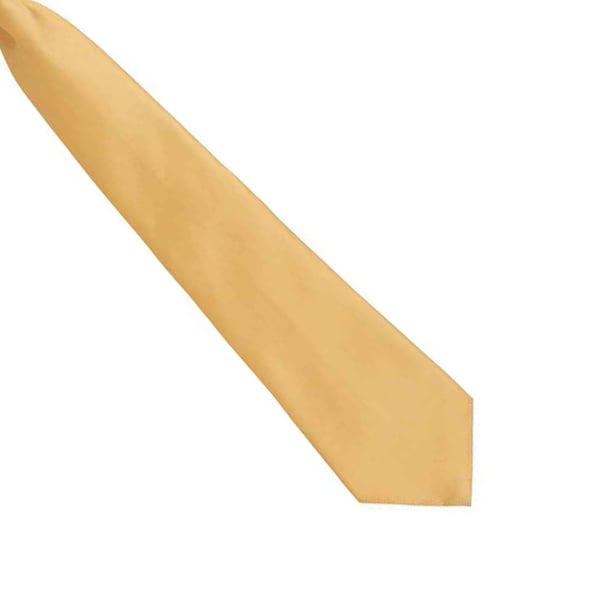 Premier Unisex Adult Colours Fashion Plain Clip-On Tie