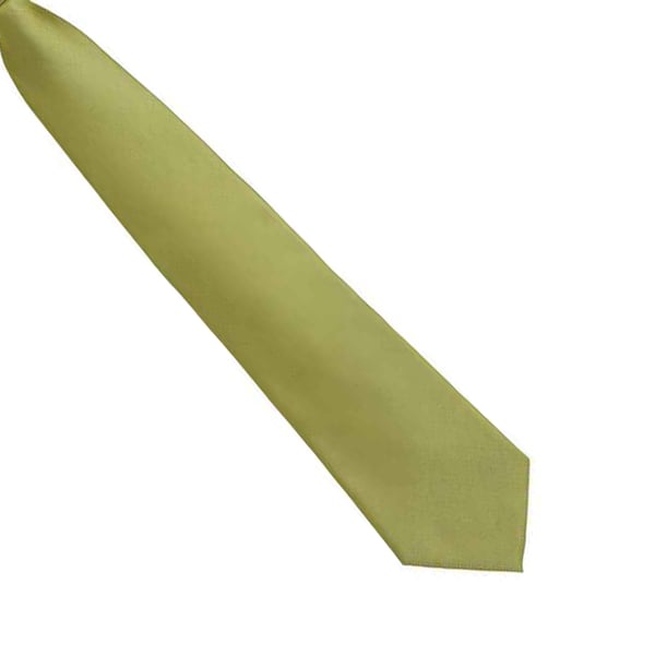 Premier Unisex Adult Colours Fashion Plain Clip-On Tie