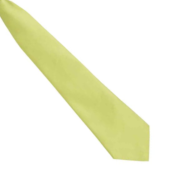 Premier Unisex Adult Colours Fashion Plain Clip-On Tie