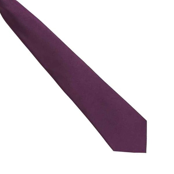 Premier Unisex Adult Colours Fashion Plain Clip-On Tie
