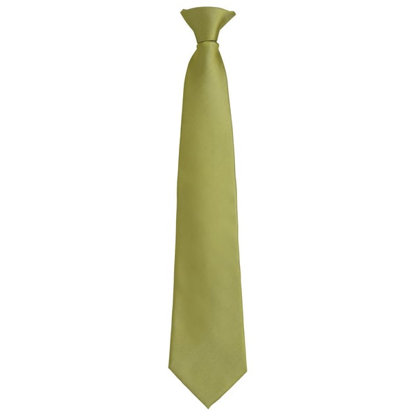 Premier Unisex Adult Colours Fashion Plain Clip-On Tie