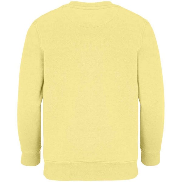 SOLS Childrens/Kids Columbia Sweatshirt
