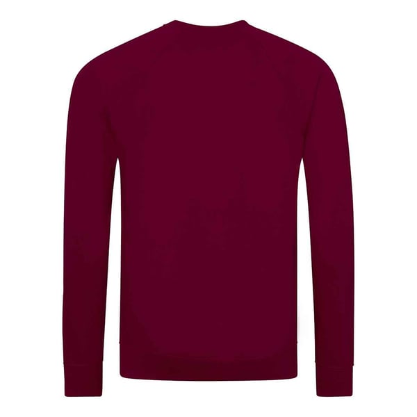 Awdis Barn/Kids Academy Raglan Sweatshirt