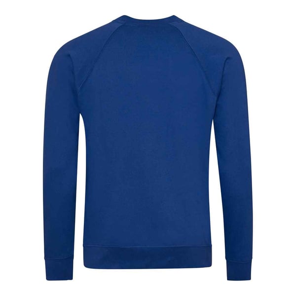 Awdis Barn/Kids Academy Raglan Sweatshirt
