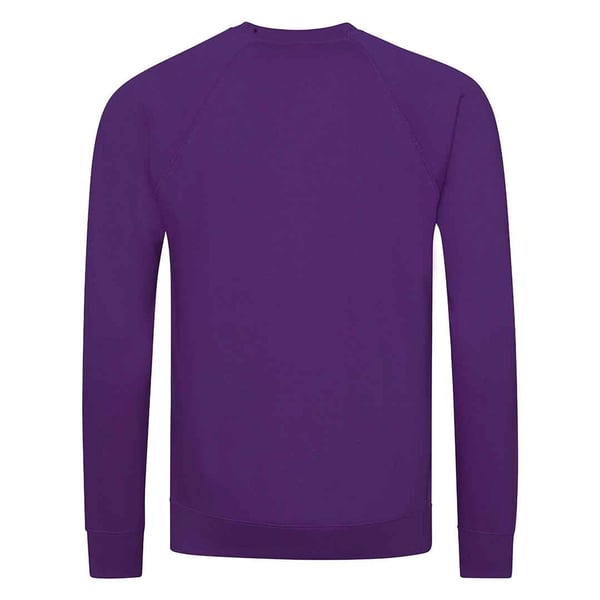 Awdis Barn/Kids Academy Raglan Sweatshirt